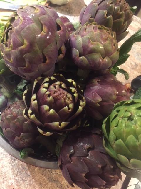 globe artichokes